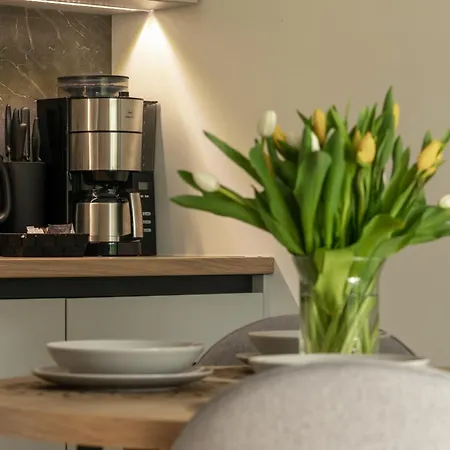 Iga Z Basenem I Saunami Karkonoce Stone Hill - Centrum Apartamento Szklarska Poręba